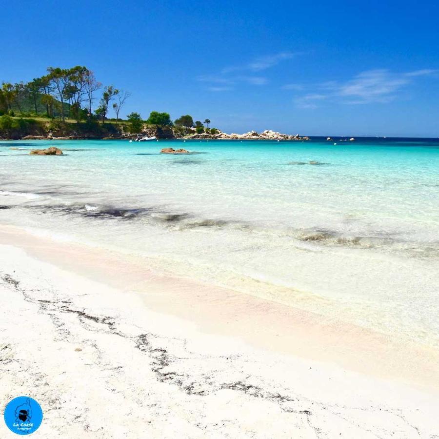 Joli Studio Maisonnette A 100M De La Plage Porticcio  Luaran gambar